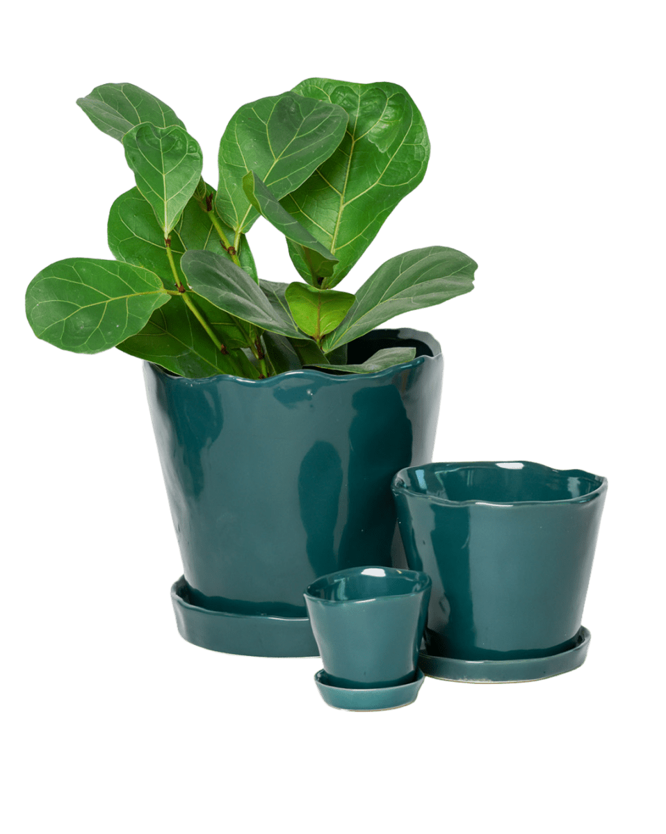 Tika Pot & Saucer | 3 inch - Chive Ceramics Studio - Pots - Chive Ceramics Studio