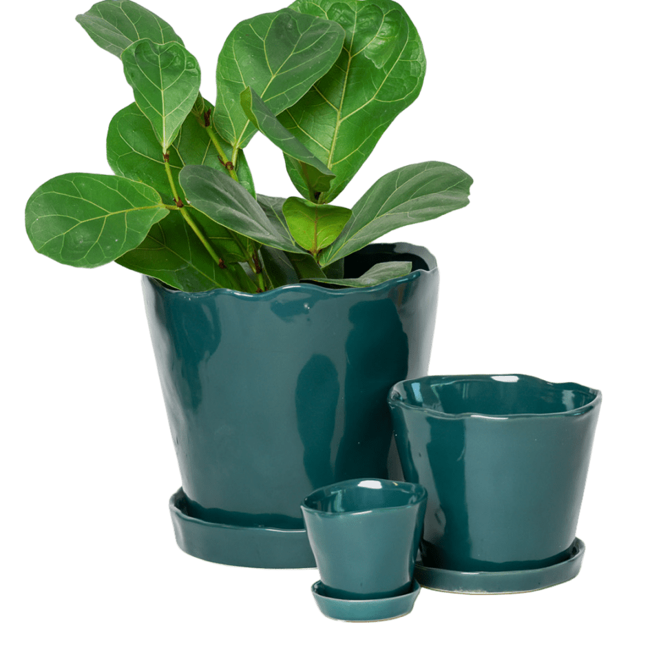 Tika Pot & Saucer | 3 inch - Chive Ceramics Studio - Pots - Chive Ceramics Studio