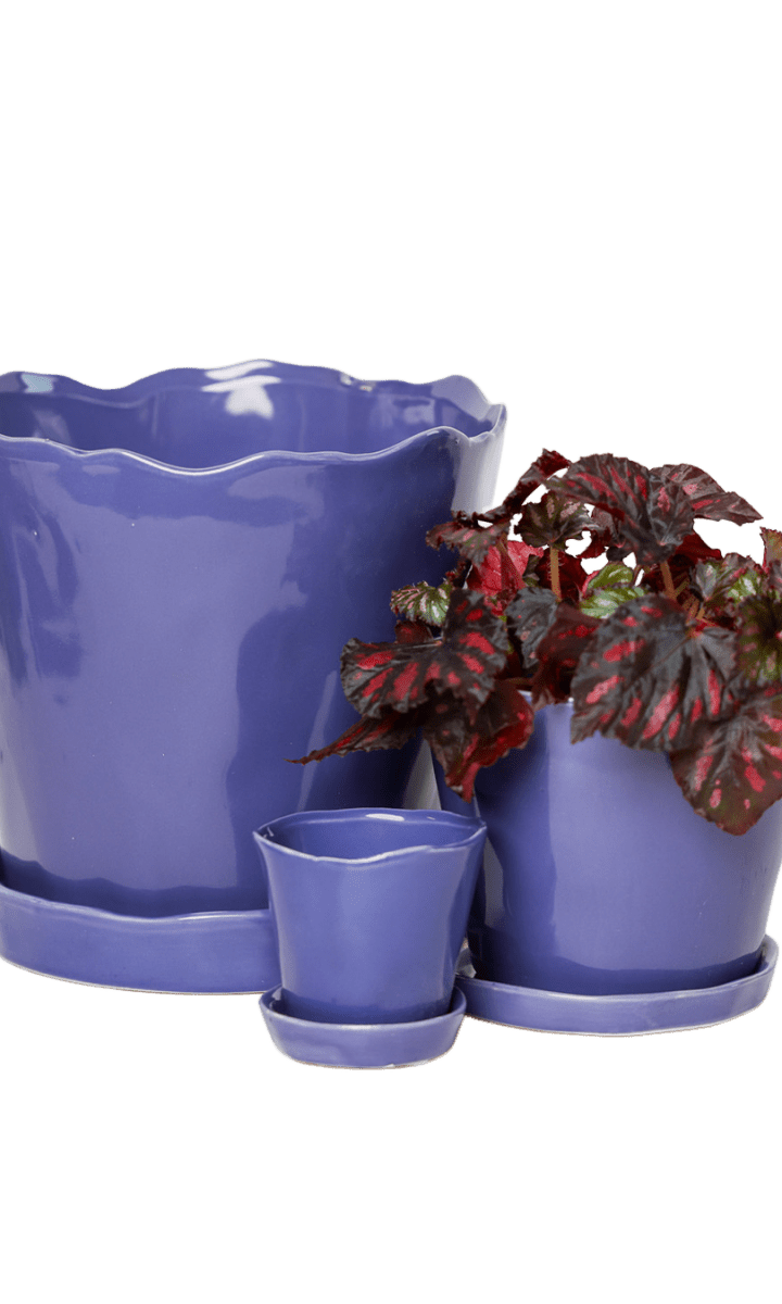 Tika Pot & Saucer | 8 & 10 inch - Chive Ceramics Studio - Pots - Chive Ceramics Studio