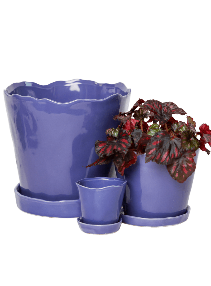 Tika Pot & Saucer | 8 & 10 inch - Chive Ceramics Studio - Pots - Chive Ceramics Studio