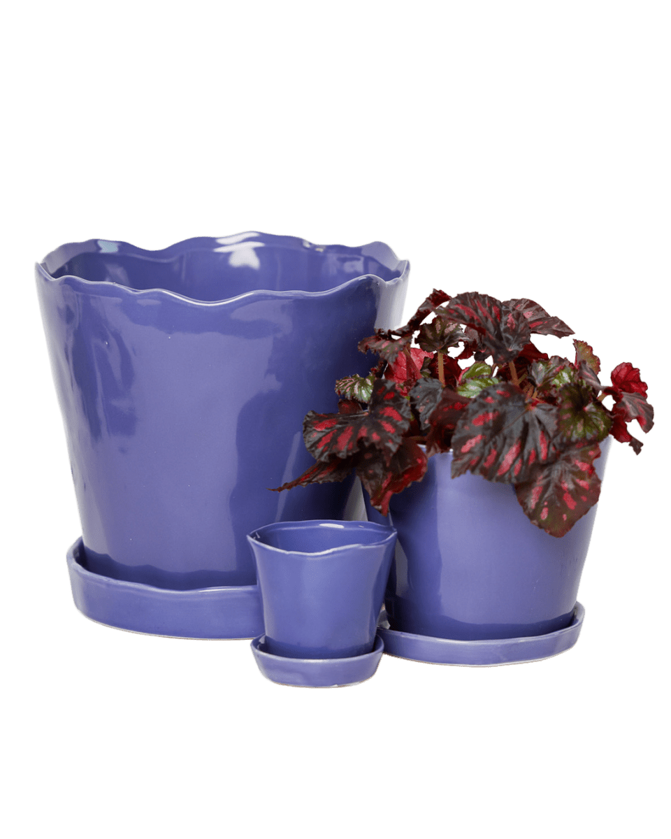 Tika Pot & Saucer | 8 & 10 inch - Chive Ceramics Studio - Pots - Chive Ceramics Studio