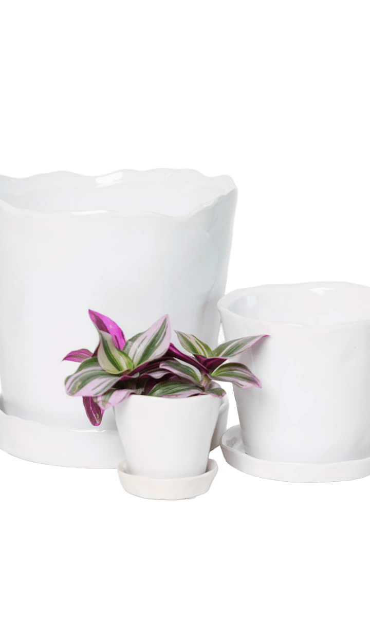 Tika Pot & Saucer | 8 & 10 inch - Chive Ceramics Studio - Pots - Chive Ceramics Studio