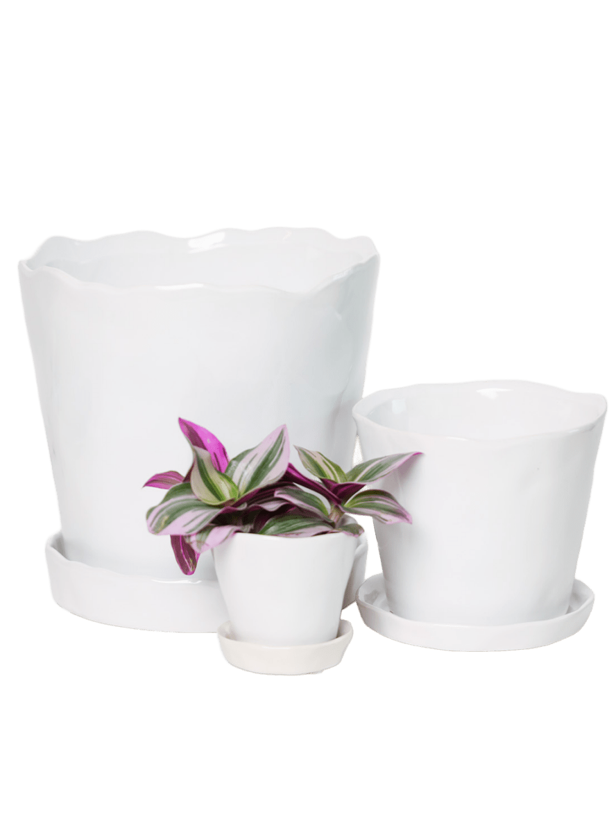 Tika Pot & Saucer | 8 & 10 inch - Chive Ceramics Studio - Pots - Chive Ceramics Studio