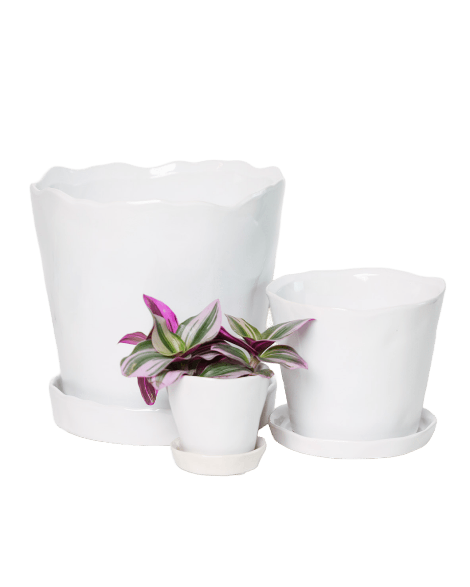 Tika Pot & Saucer | 8 & 10 inch - Chive Ceramics Studio - Pots - Chive Ceramics Studio