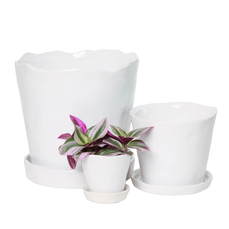 Tika Pot & Saucer | 3 inch - Chive Ceramics Studio - Pots - Chive Ceramics Studio