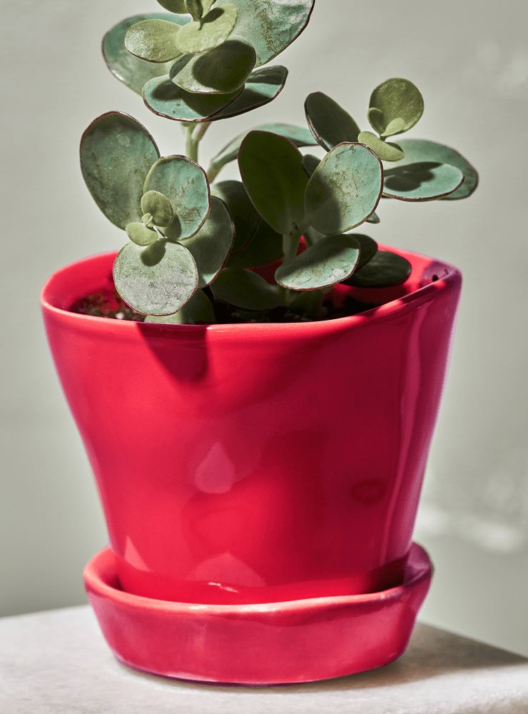 Tika Ceramic Pot & Saucer Set With Drainage - Chive Ceramics Studio - Pots - Chive Ceramics Studio