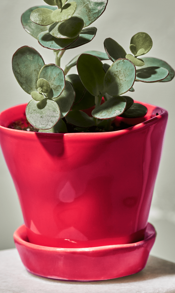 Tika Ceramic Pot & Saucer Set With Drainage - Chive Ceramics Studio - Pots - Chive Ceramics Studio