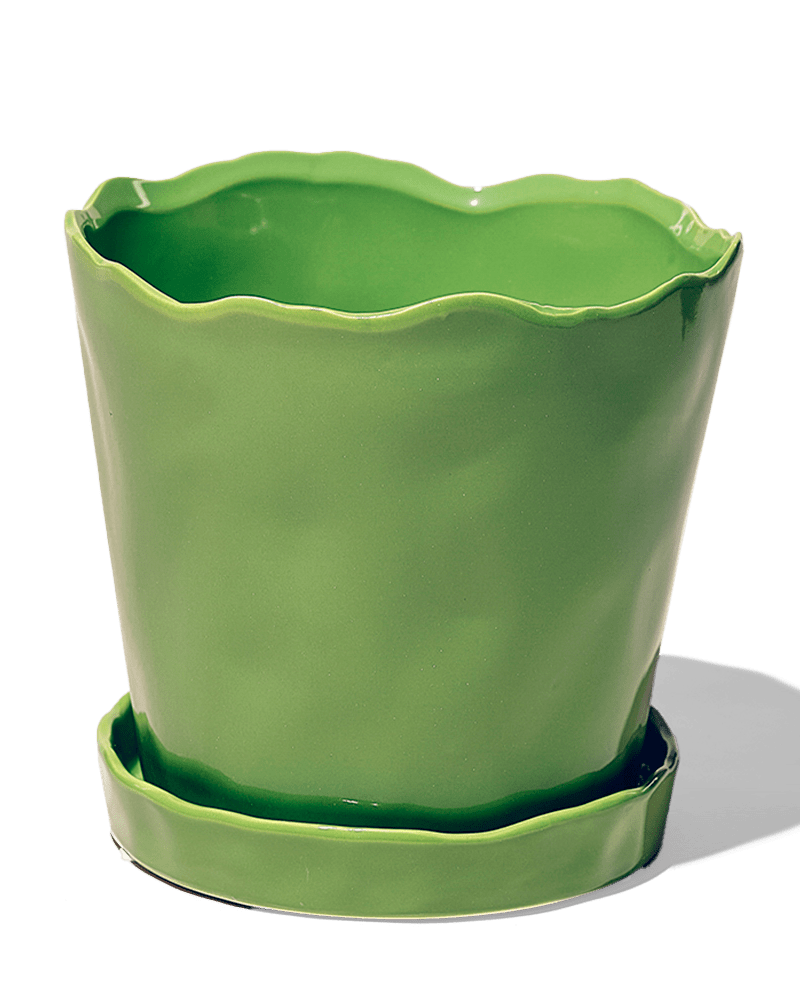 Tika Ceramic Pot & Saucer Set With Drainage - Chive Ceramics Studio - Pots - Chive Ceramics Studio