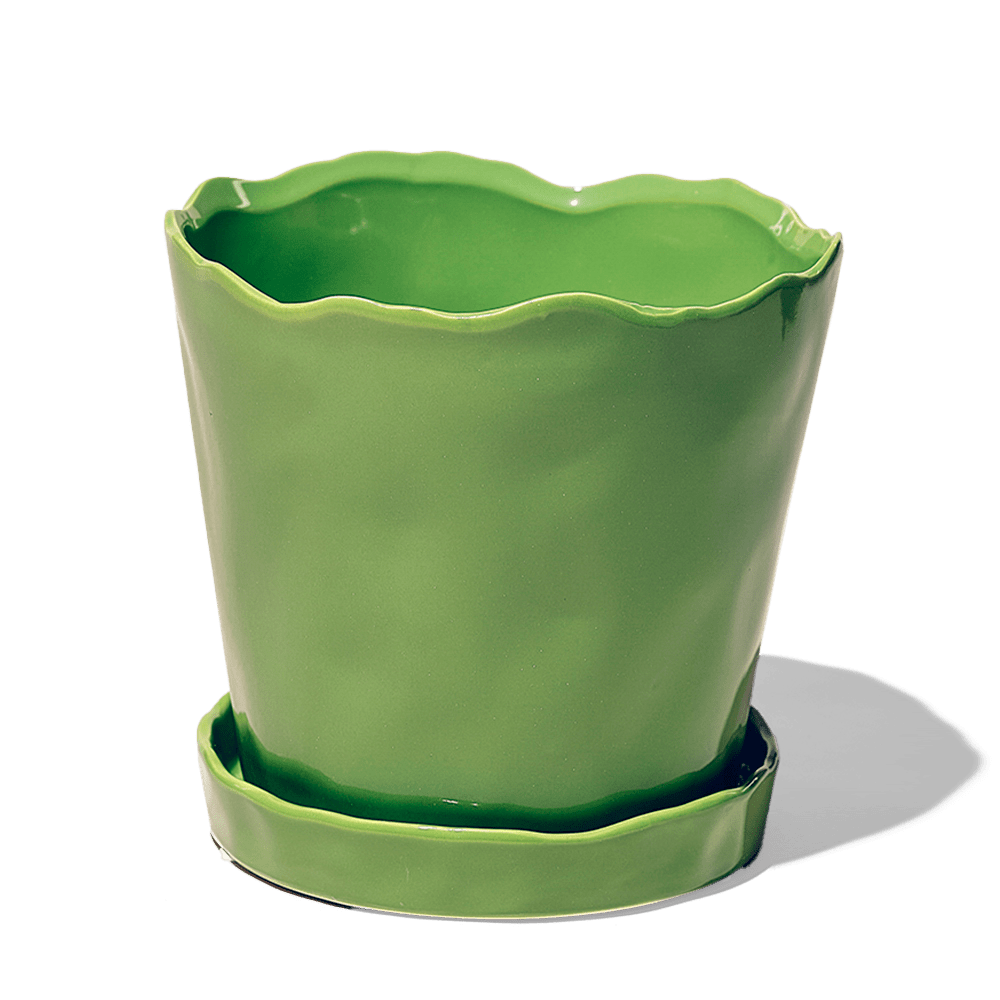 Tika Ceramic Pot & Saucer Set With Drainage - Chive Ceramics Studio - Pots - Chive Ceramics Studio