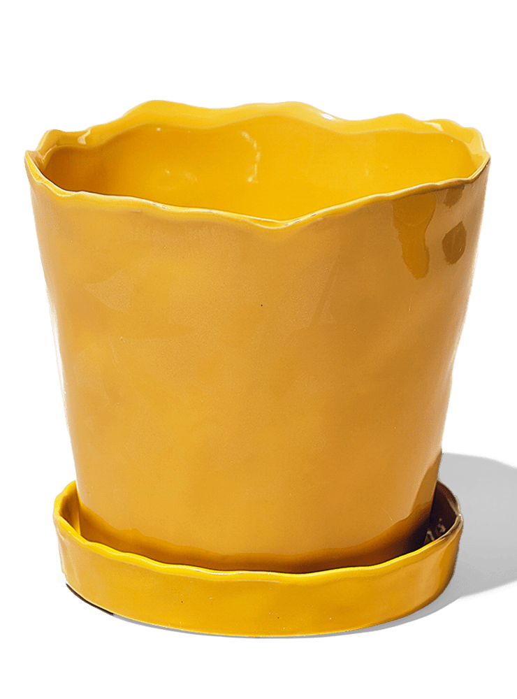 Tika Ceramic Pot & Saucer Set With Drainage - Chive Ceramics Studio - Pots - Chive Ceramics Studio