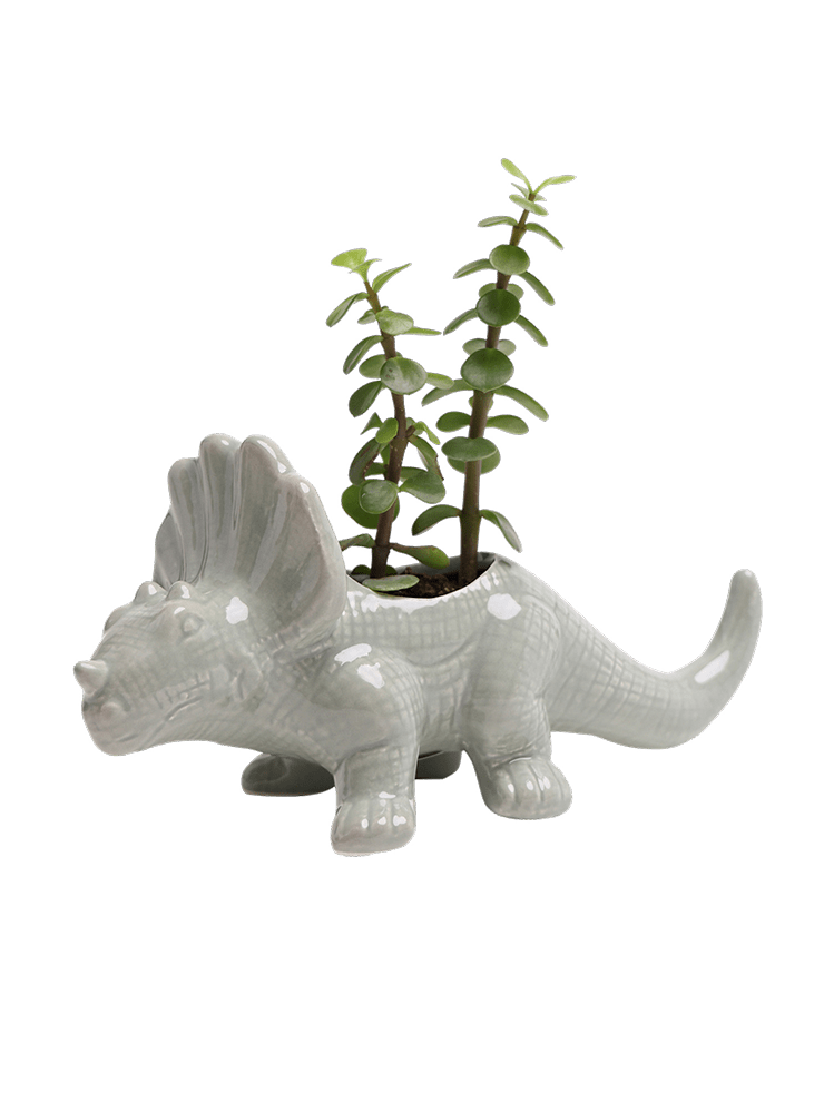 Triceratops Ceramic Indoor Plant Pot for Succulents - Chive Ceramics Studio - Pots - Chive Ceramics Studio