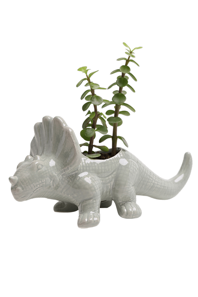 Triceratops Ceramic Indoor Plant Pot for Succulents - Chive Ceramics Studio - Pots - Chive Ceramics Studio