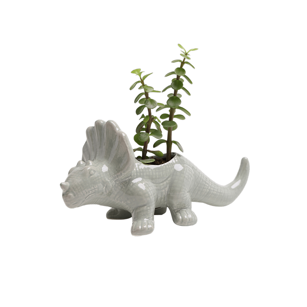 Triceratops Ceramic Indoor Plant Pot for Succulents - Chive Ceramics Studio - Pots - Chive Ceramics Studio