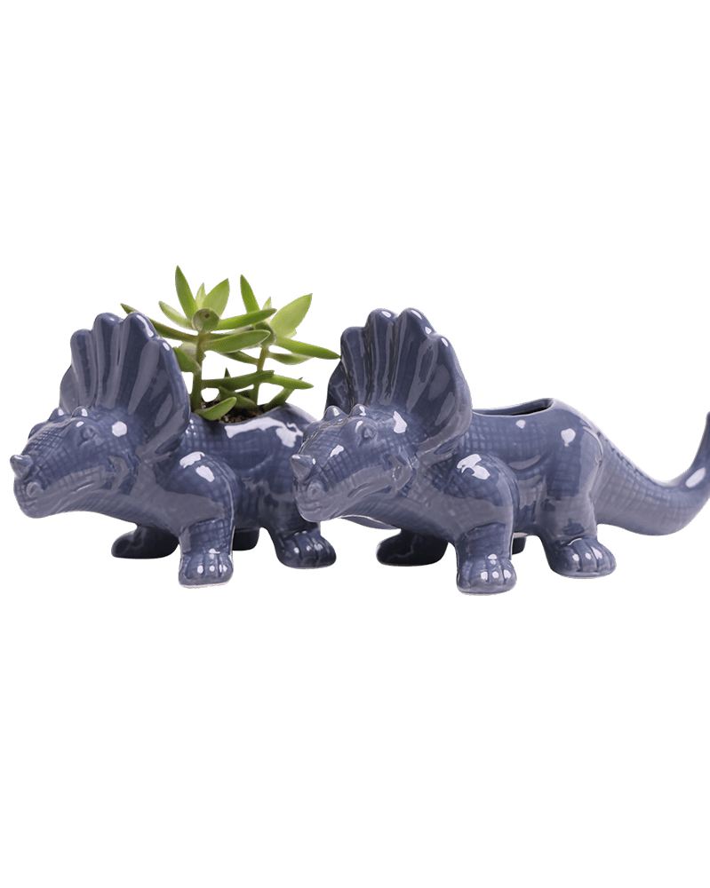 Triceratops Ceramic Indoor Plant Pot for Succulents - Chive Ceramics Studio - Pots - Chive Ceramics Studio