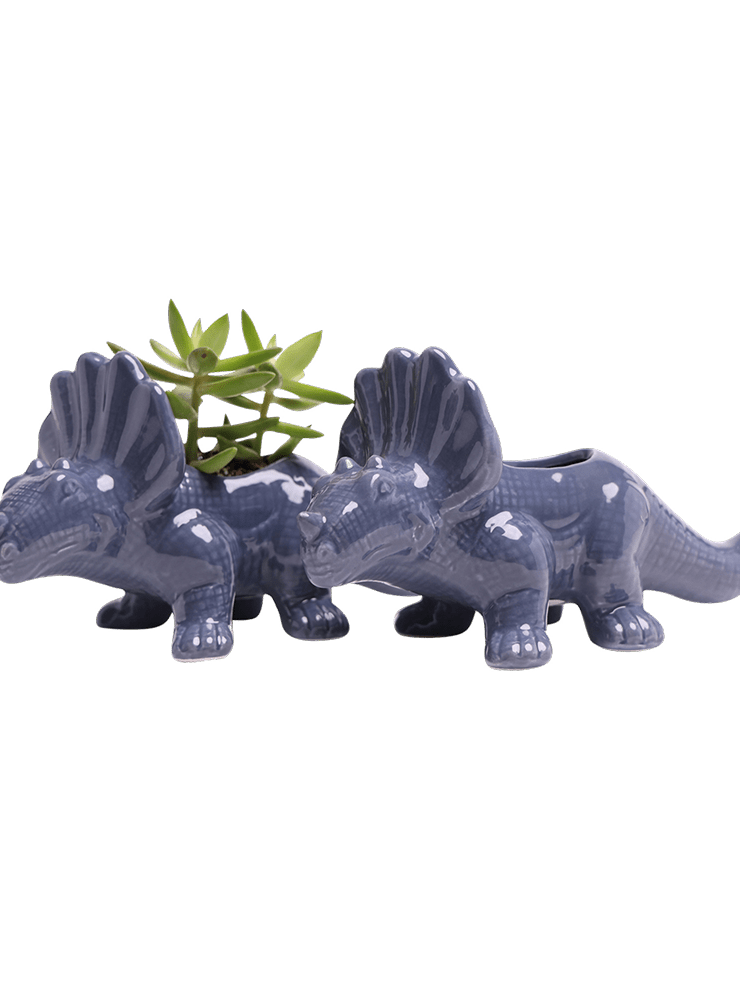 Triceratops Ceramic Indoor Plant Pot for Succulents - Chive Ceramics Studio - Pots - Chive Ceramics Studio