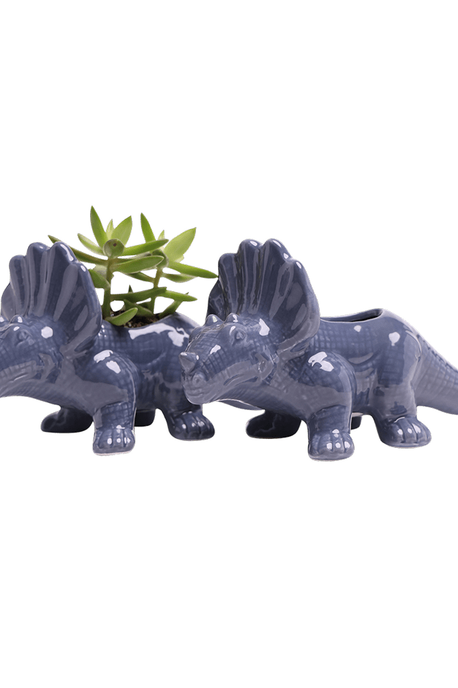 Triceratops Ceramic Indoor Plant Pot for Succulents - Chive Ceramics Studio - Pots - Chive Ceramics Studio