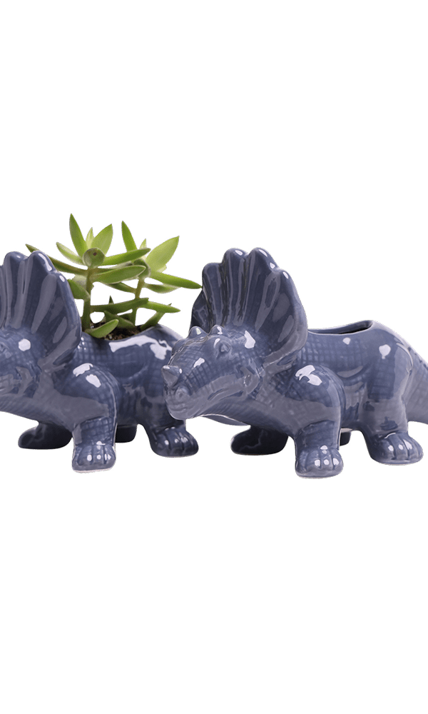 Triceratops Ceramic Indoor Plant Pot for Succulents - Chive Ceramics Studio - Pots - Chive Ceramics Studio