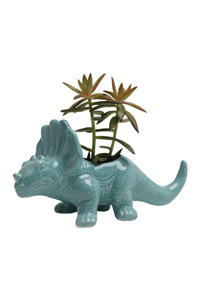 Triceratops Ceramic Indoor Plant Pot for Succulents - Chive Ceramics Studio - Pots - Chive Ceramics Studio