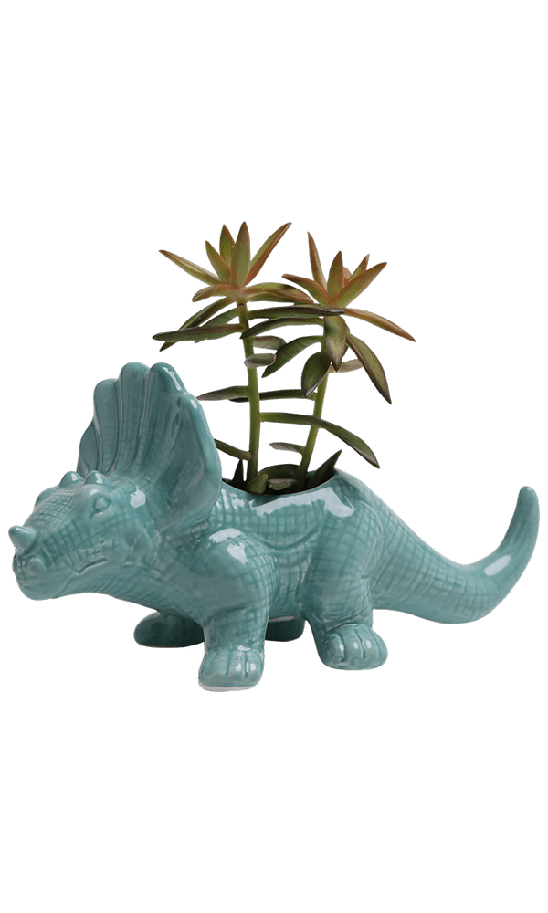 Triceratops Ceramic Indoor Plant Pot for Succulents - Chive Ceramics Studio - Pots - Chive Ceramics Studio