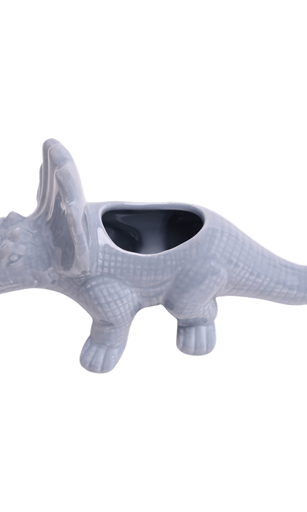 Triceratops Ceramic Indoor Plant Pot for Succulents - Chive Ceramics Studio - Pots - Chive Ceramics Studio
