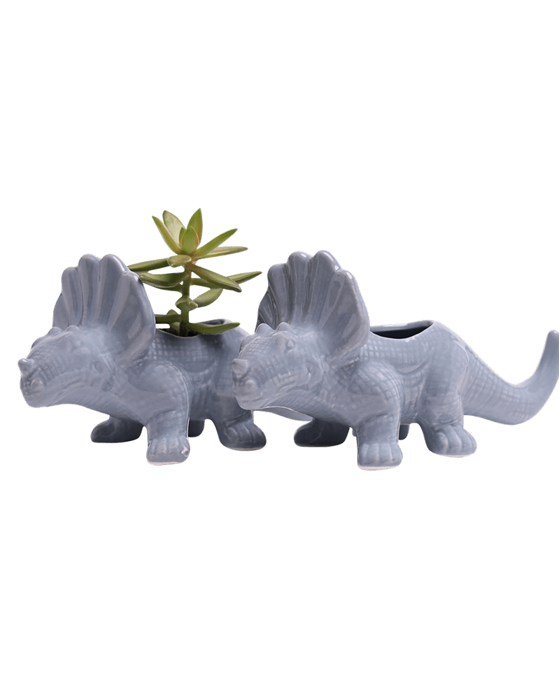 Triceratops Ceramic Indoor Plant Pot for Succulents - Chive Ceramics Studio - Pots - Chive Ceramics Studio
