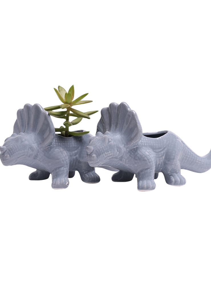 Triceratops Ceramic Indoor Plant Pot for Succulents - Chive Ceramics Studio - Pots - Chive Ceramics Studio