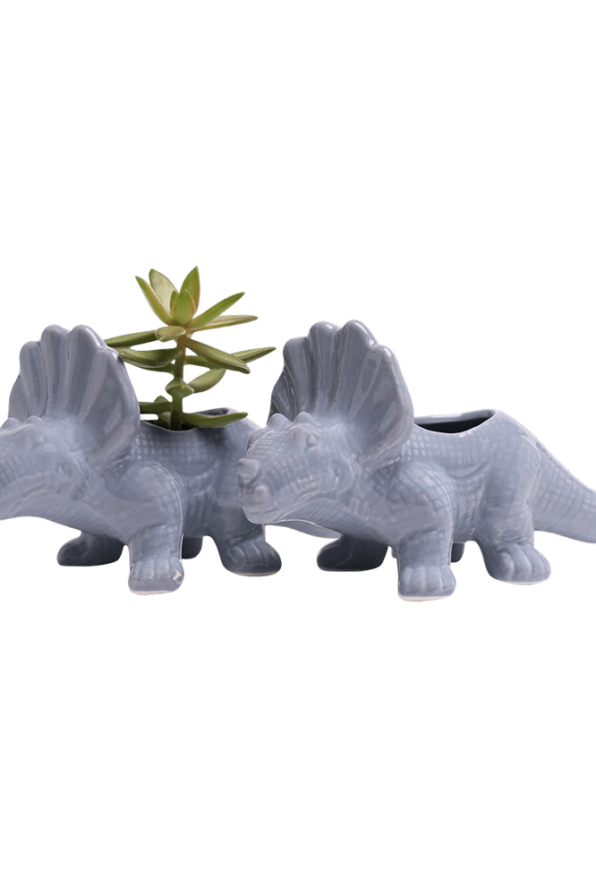 Triceratops Ceramic Indoor Plant Pot for Succulents - Chive Ceramics Studio - Pots - Chive Ceramics Studio