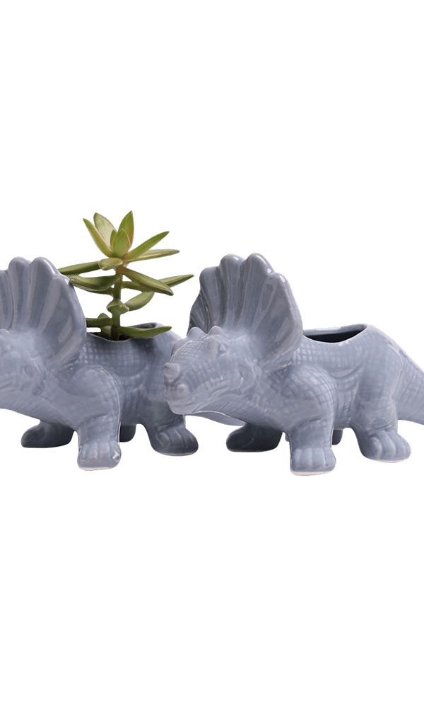 Triceratops Ceramic Indoor Plant Pot for Succulents - Chive Ceramics Studio - Pots - Chive Ceramics Studio