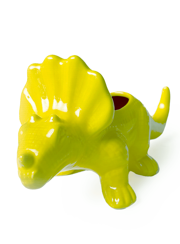 Triceratops Ceramic Indoor Plant Pot for Succulents - Chive Ceramics Studio - Pots - Chive Ceramics Studio