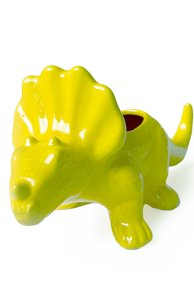 Triceratops Ceramic Indoor Plant Pot for Succulents - Chive Ceramics Studio - Pots - Chive Ceramics Studio
