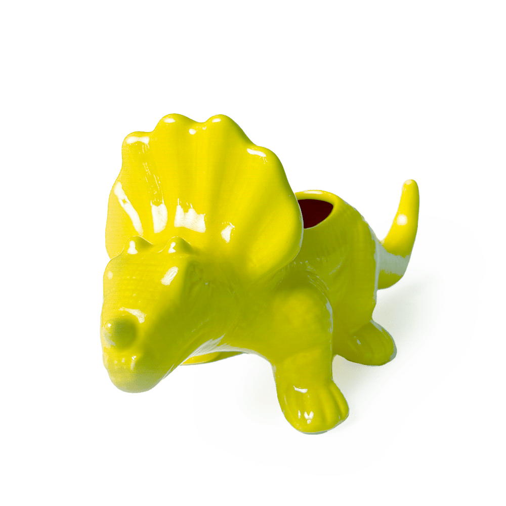Triceratops Ceramic Indoor Plant Pot for Succulents - Chive Ceramics Studio - Pots - Chive Ceramics Studio