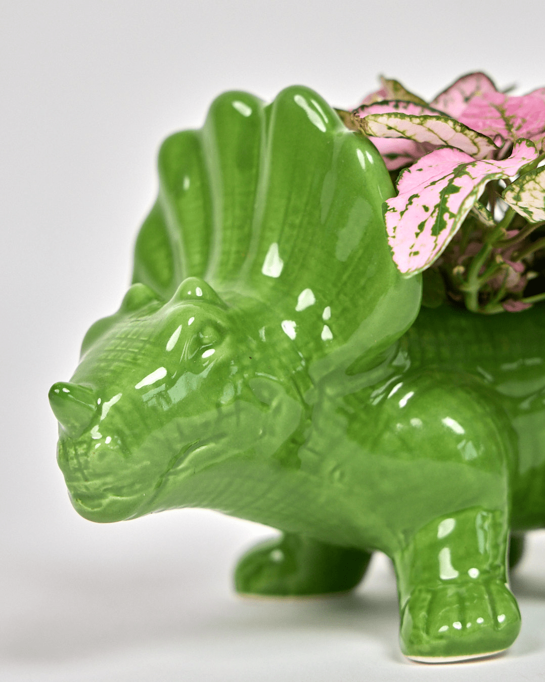 Triceratops Ceramic Indoor Plant Pot for Succulents - Chive Ceramics Studio - Pots - Chive Ceramics Studio