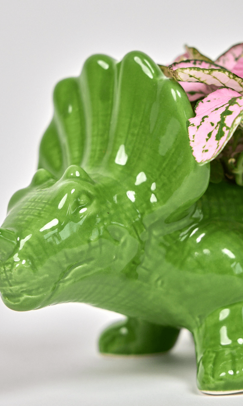 Triceratops Ceramic Indoor Plant Pot for Succulents - Chive Ceramics Studio - Pots - Chive Ceramics Studio