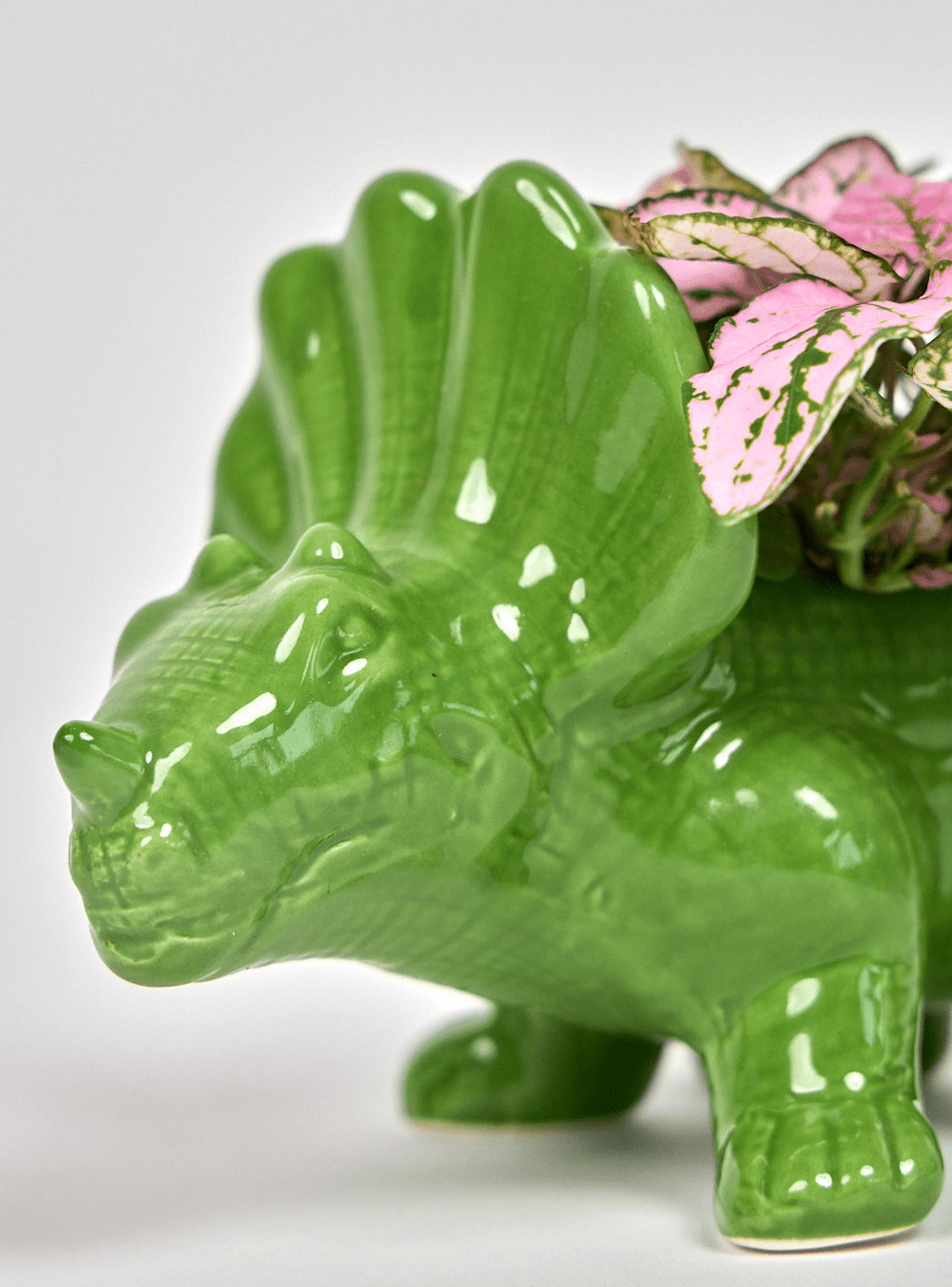 Triceratops Ceramic Indoor Plant Pot for Succulents - Chive Ceramics Studio - Pots - Chive Ceramics Studio