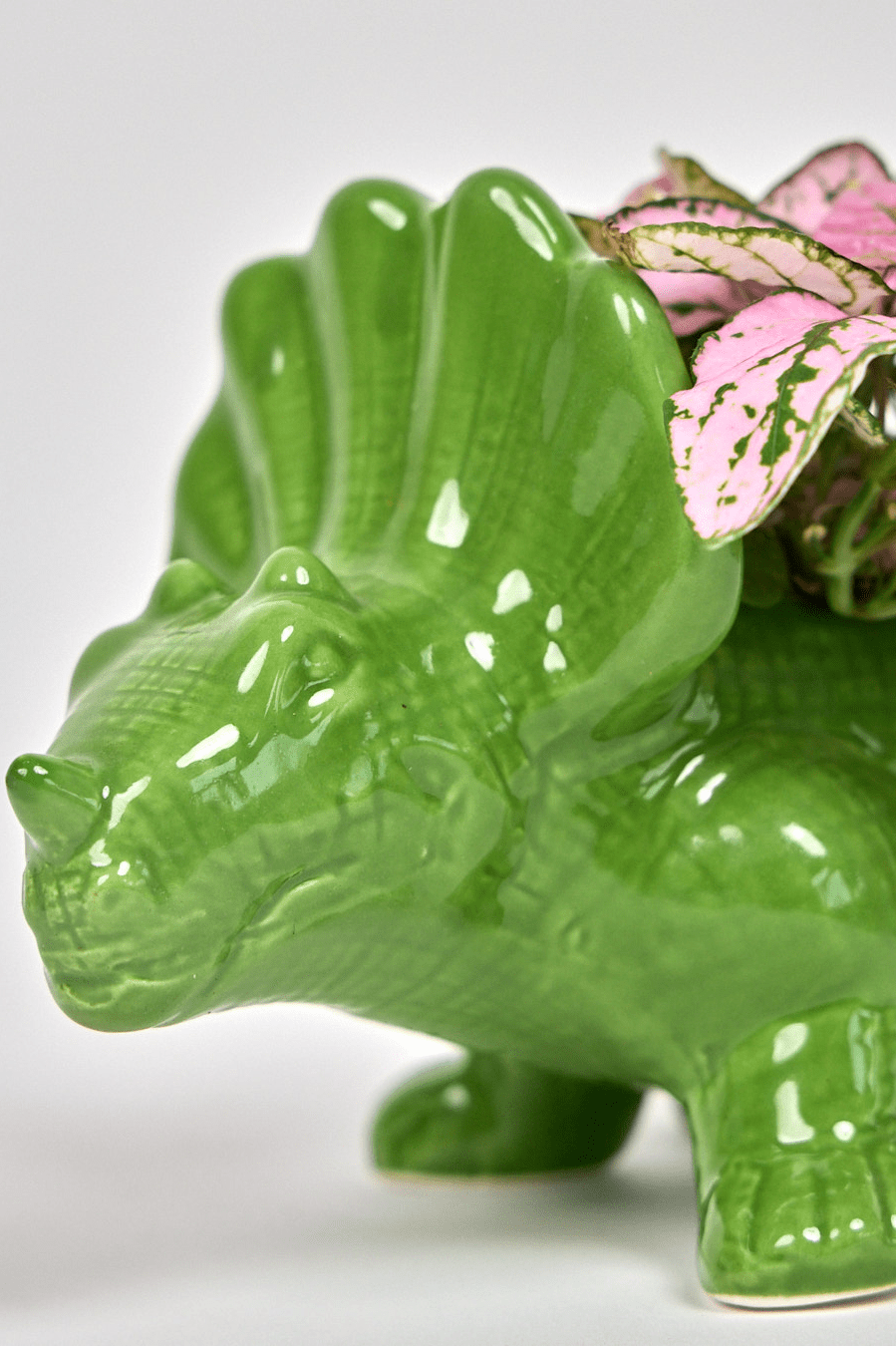 Triceratops Ceramic Indoor Plant Pot for Succulents - Chive Ceramics Studio - Pots - Chive Ceramics Studio