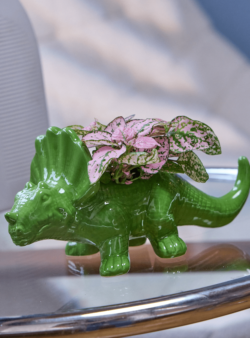 Triceratops Ceramic Indoor Plant Pot for Succulents - Chive Ceramics Studio - Pots - Chive Ceramics Studio