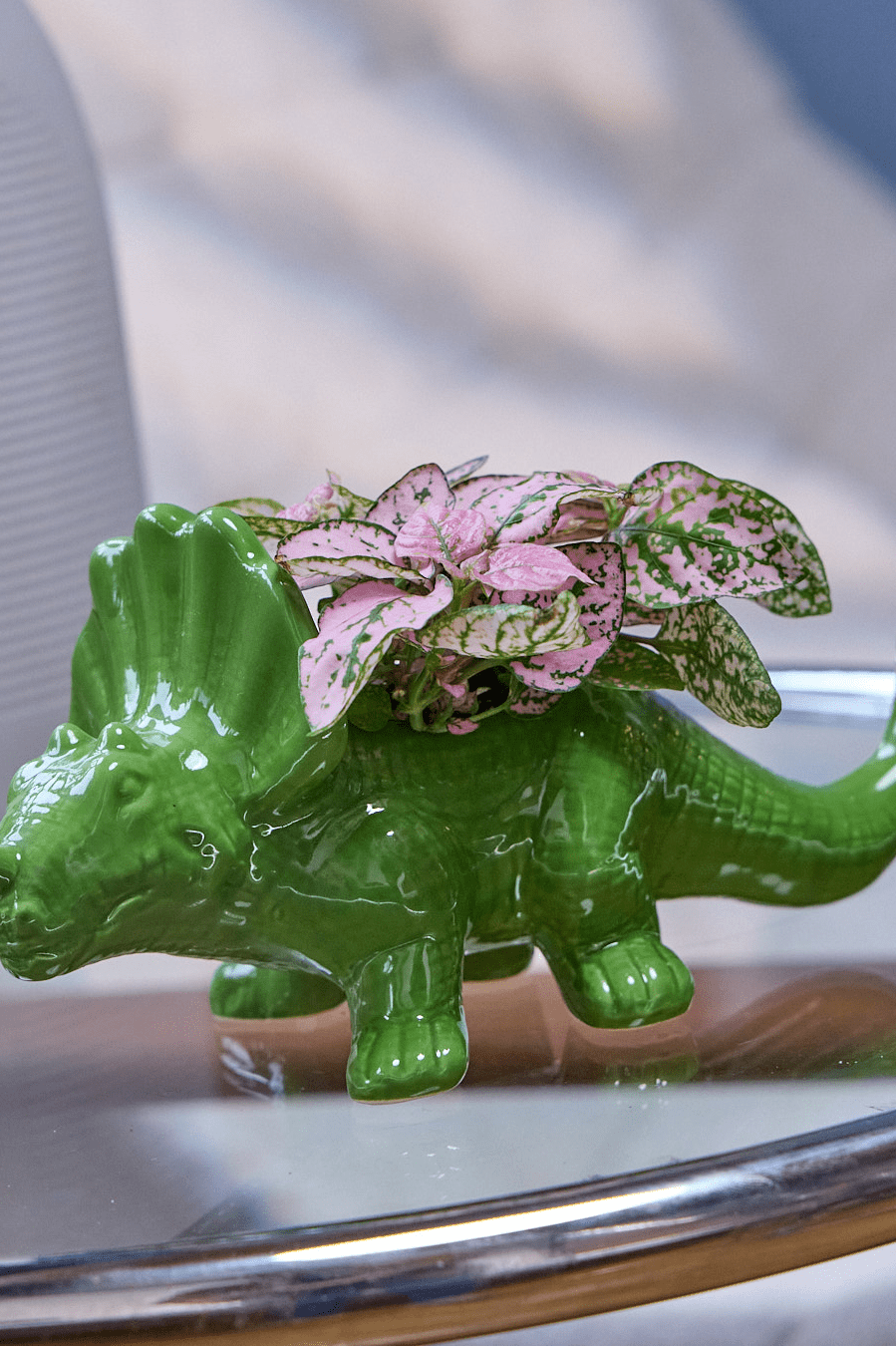 Triceratops Ceramic Indoor Plant Pot for Succulents - Chive Ceramics Studio - Pots - Chive Ceramics Studio