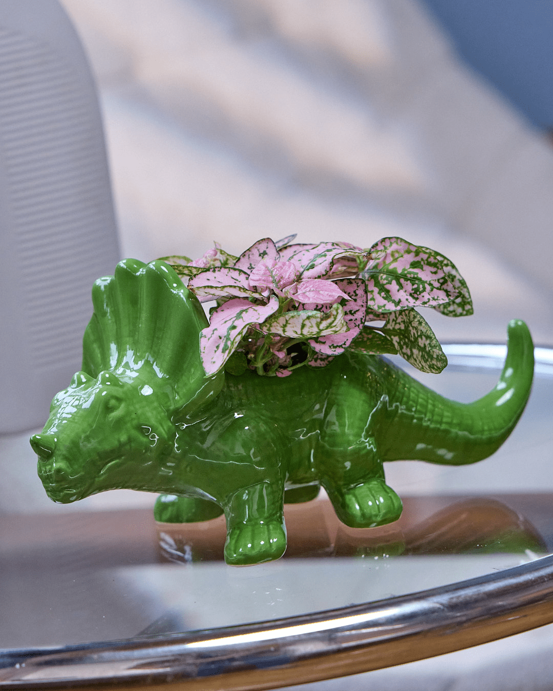 Triceratops Ceramic Indoor Plant Pot for Succulents - Chive Ceramics Studio - Pots - Chive Ceramics Studio