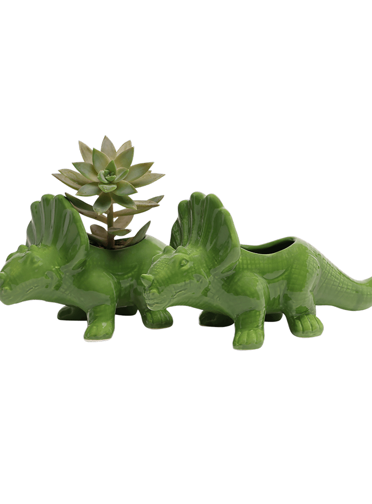Triceratops Ceramic Indoor Plant Pot for Succulents - Chive Ceramics Studio - Pots - Chive Ceramics Studio