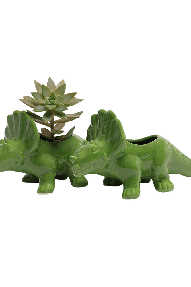 Triceratops Ceramic Indoor Plant Pot for Succulents - Chive Ceramics Studio - Pots - Chive Ceramics Studio