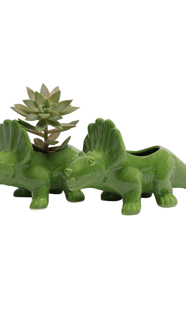 Triceratops Ceramic Indoor Plant Pot for Succulents - Chive Ceramics Studio - Pots - Chive Ceramics Studio
