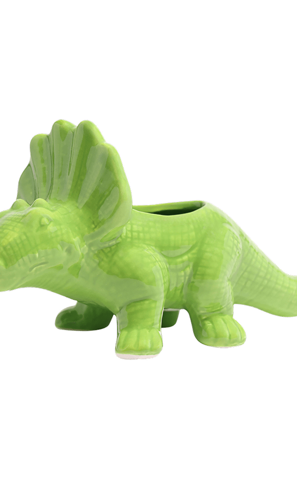 Triceratops Ceramic Indoor Plant Pot for Succulents - Chive Ceramics Studio - Pots - Chive Ceramics Studio
