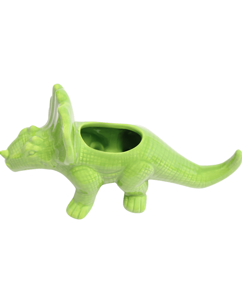 Triceratops Ceramic Indoor Plant Pot for Succulents - Chive Ceramics Studio - Pots - Chive Ceramics Studio
