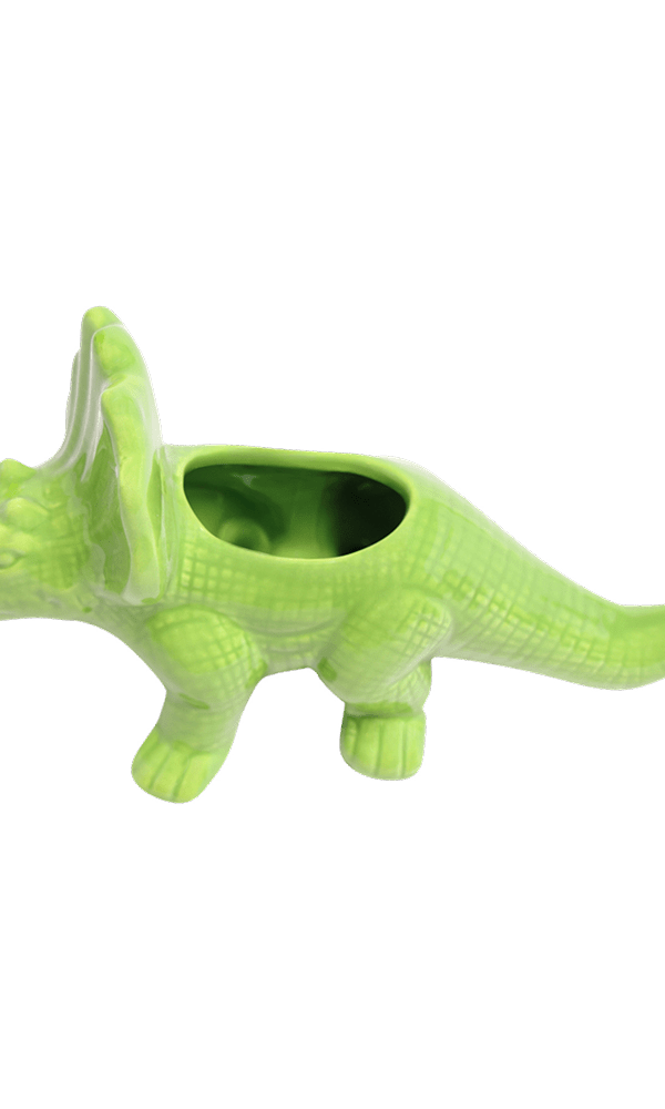 Triceratops Ceramic Indoor Plant Pot for Succulents - Chive Ceramics Studio - Pots - Chive Ceramics Studio