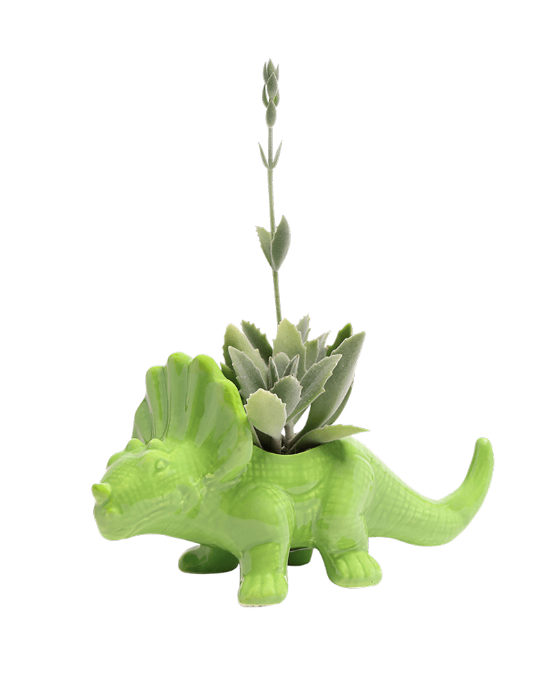Triceratops Ceramic Indoor Plant Pot for Succulents - Chive Ceramics Studio - Pots - Chive Ceramics Studio