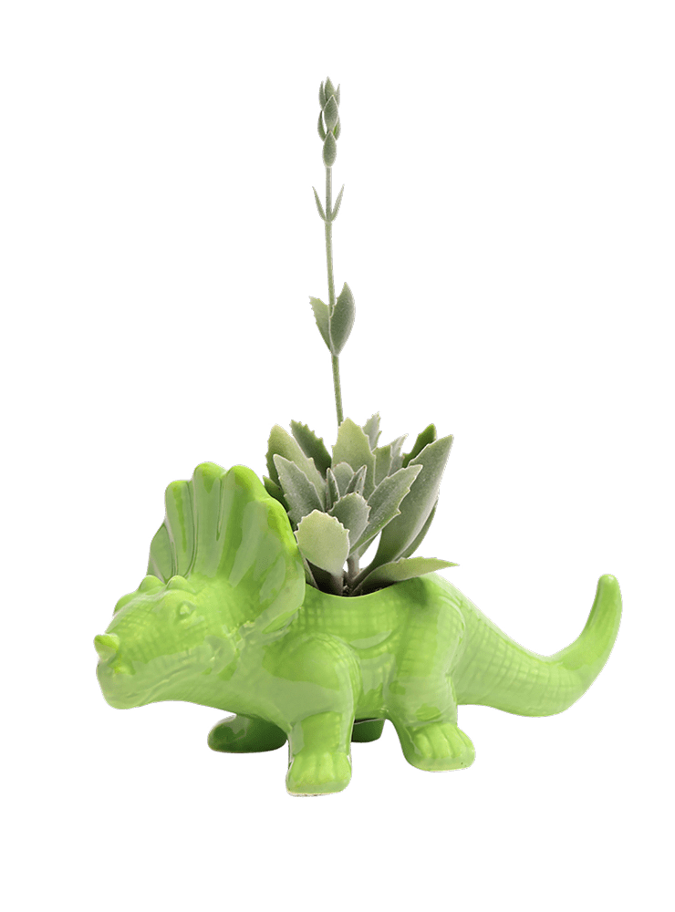 Triceratops Ceramic Indoor Plant Pot for Succulents - Chive Ceramics Studio - Pots - Chive Ceramics Studio