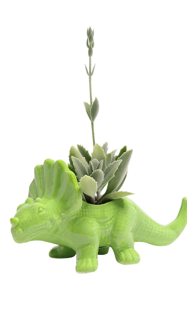 Triceratops Ceramic Indoor Plant Pot for Succulents - Chive Ceramics Studio - Pots - Chive Ceramics Studio