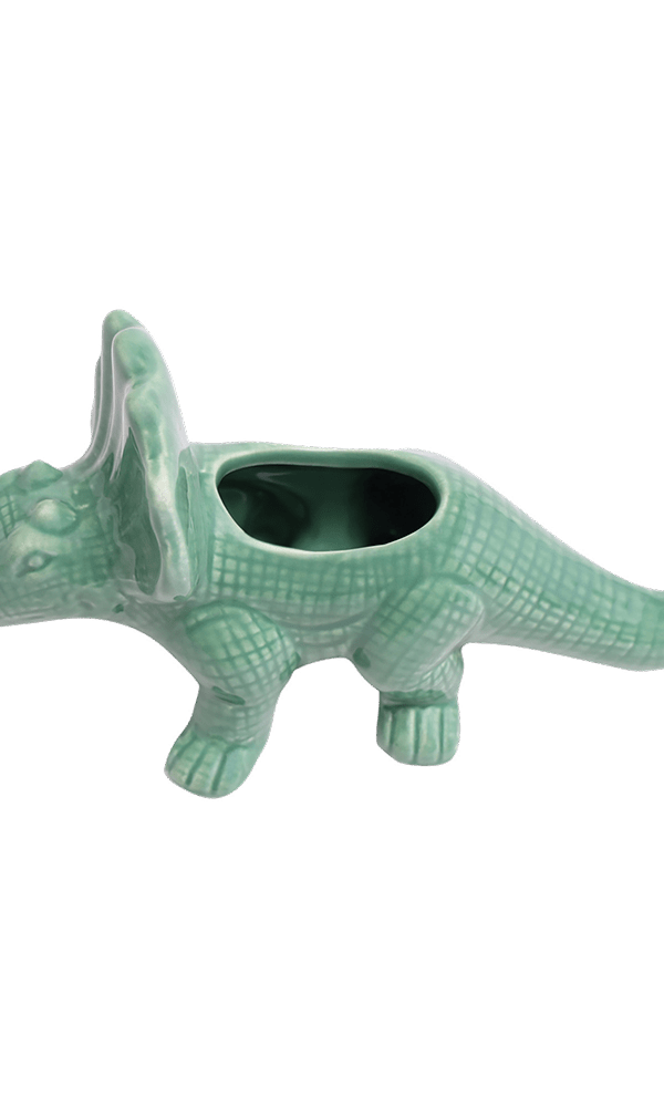 Triceratops Ceramic Indoor Plant Pot for Succulents - Chive Ceramics Studio - Pots - Chive Ceramics Studio