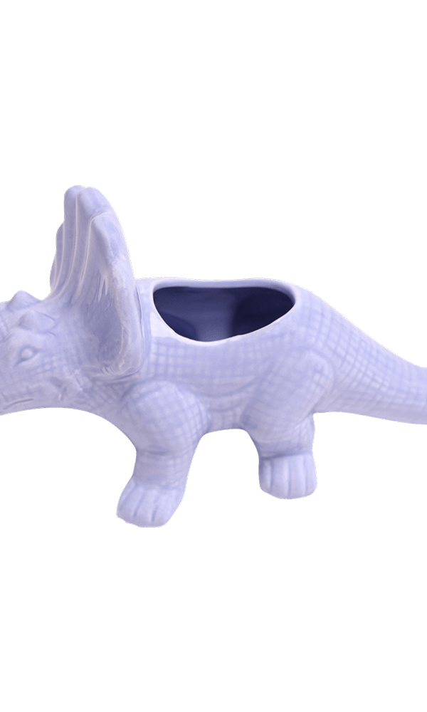 Triceratops Ceramic Indoor Plant Pot for Succulents - Chive Ceramics Studio - Pots - Chive Ceramics Studio