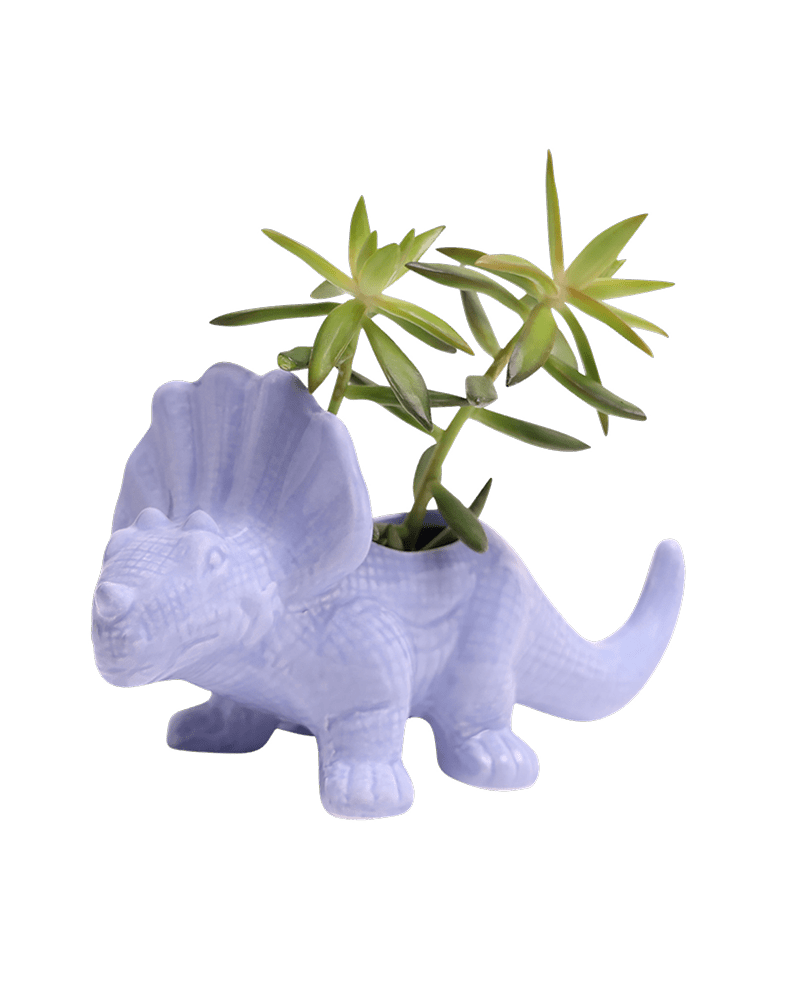 Triceratops Ceramic Indoor Plant Pot for Succulents - Chive Ceramics Studio - Pots - Chive Ceramics Studio
